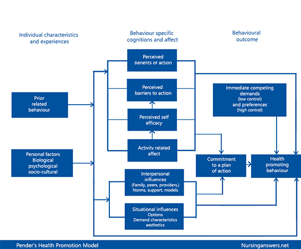 Probability diagram of the nursing diagnosis.